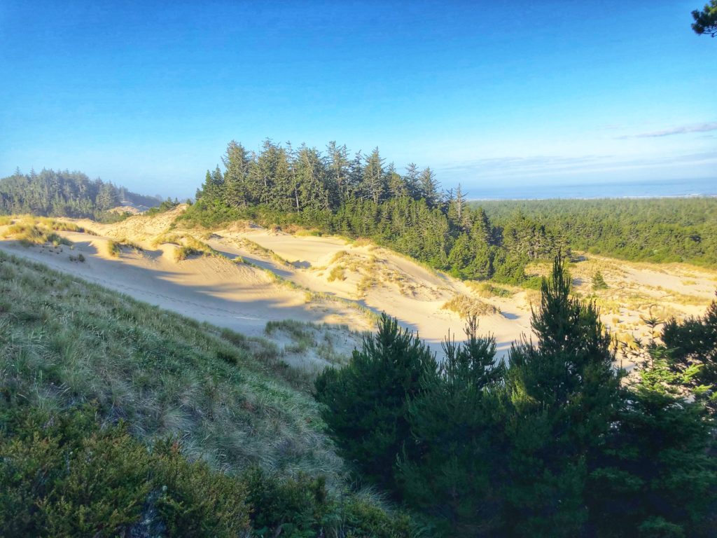 Sand Dunes on the Oregon Coast