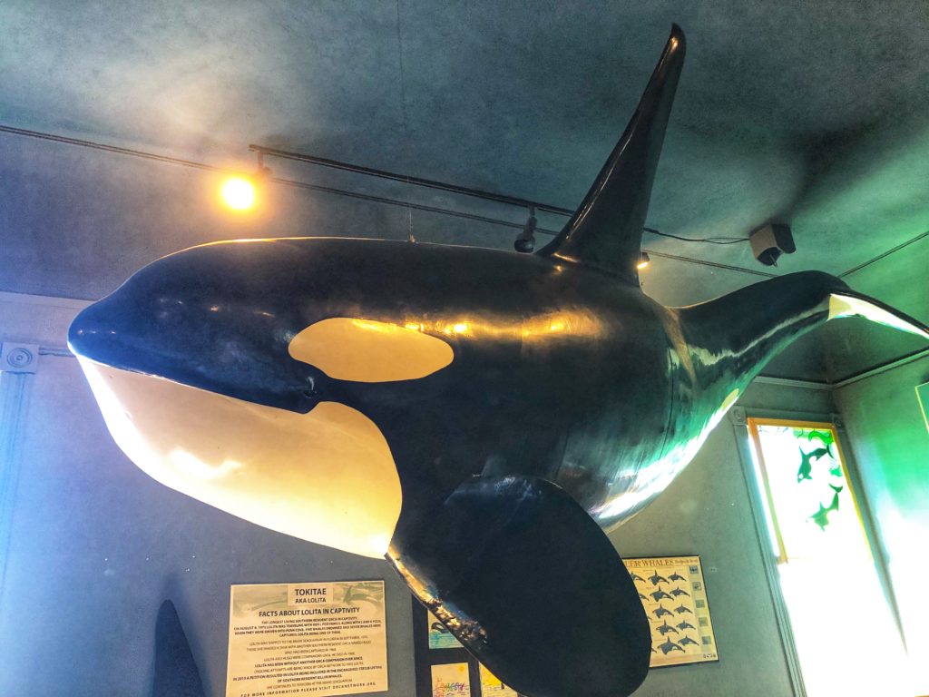 Whale museum in Friday Harbor on san juan island washington