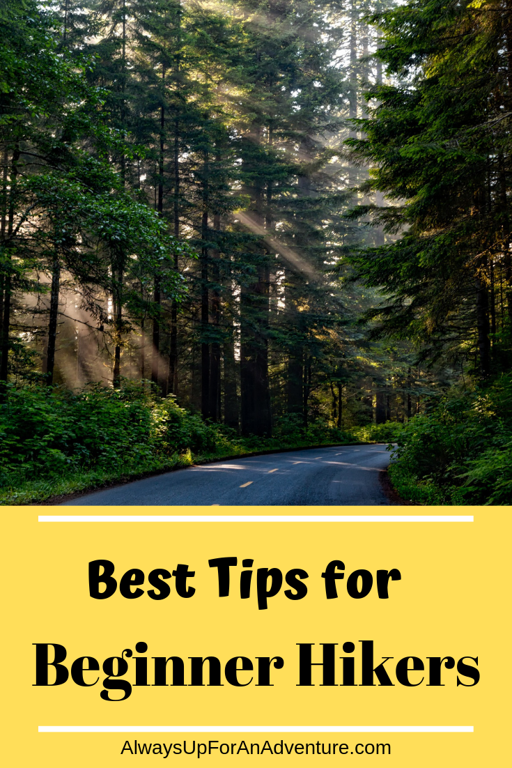 10 Tips For An Awesome Family Road Trip
