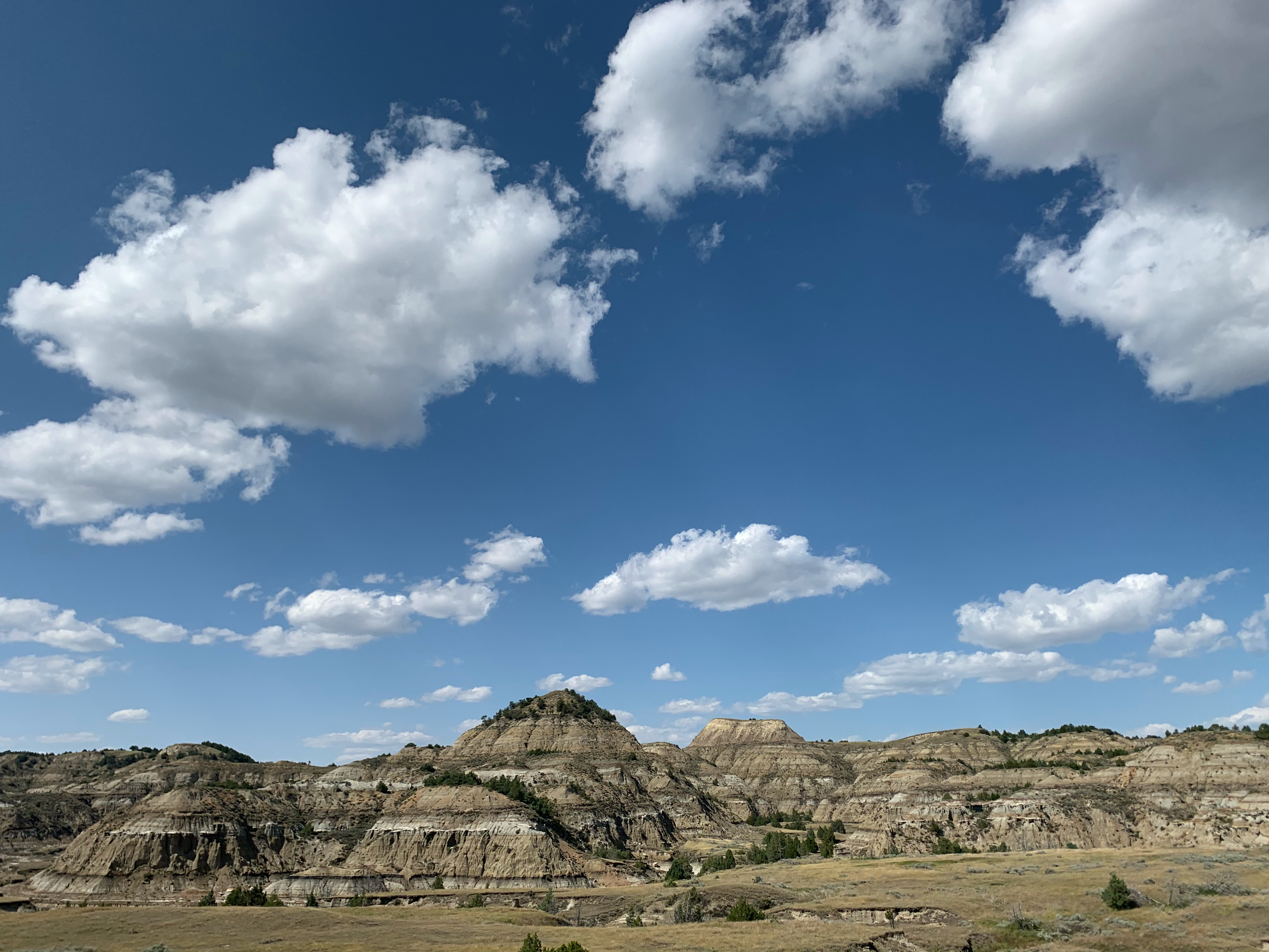 Scenery in Theodore Roosevelt National Park