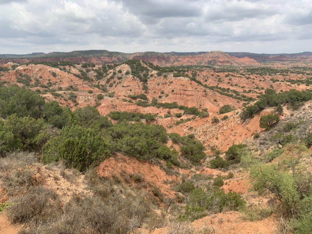 5 Awesome Reasons to visit Caprock Canyons State Park