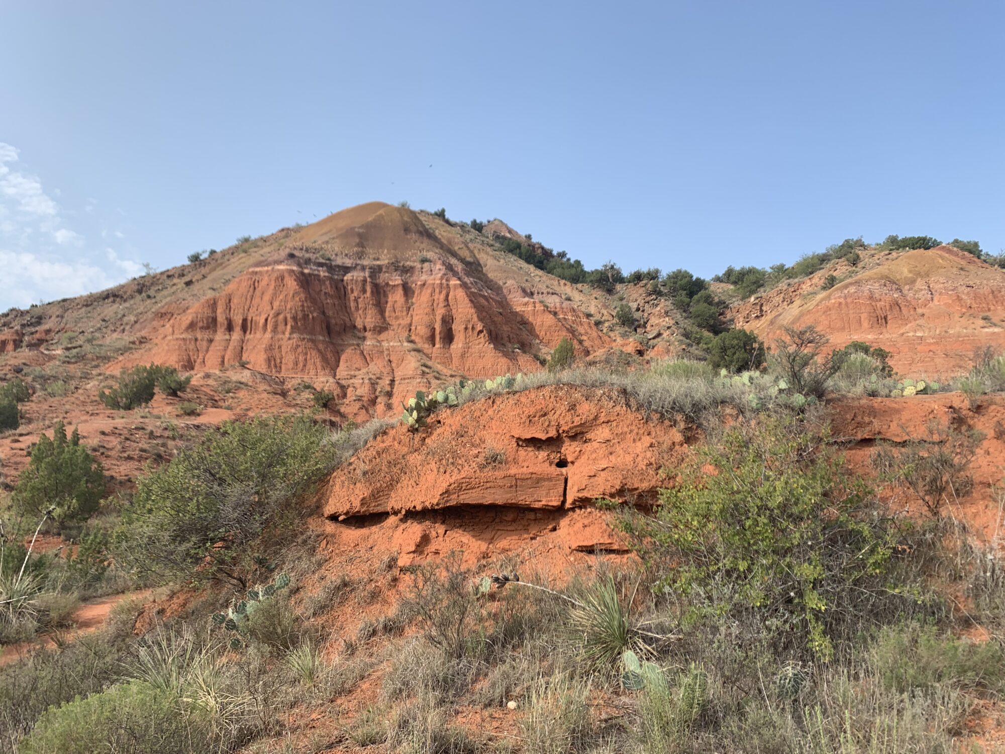 5 Awesome Reasons to Visit Caprock Canyons State Park