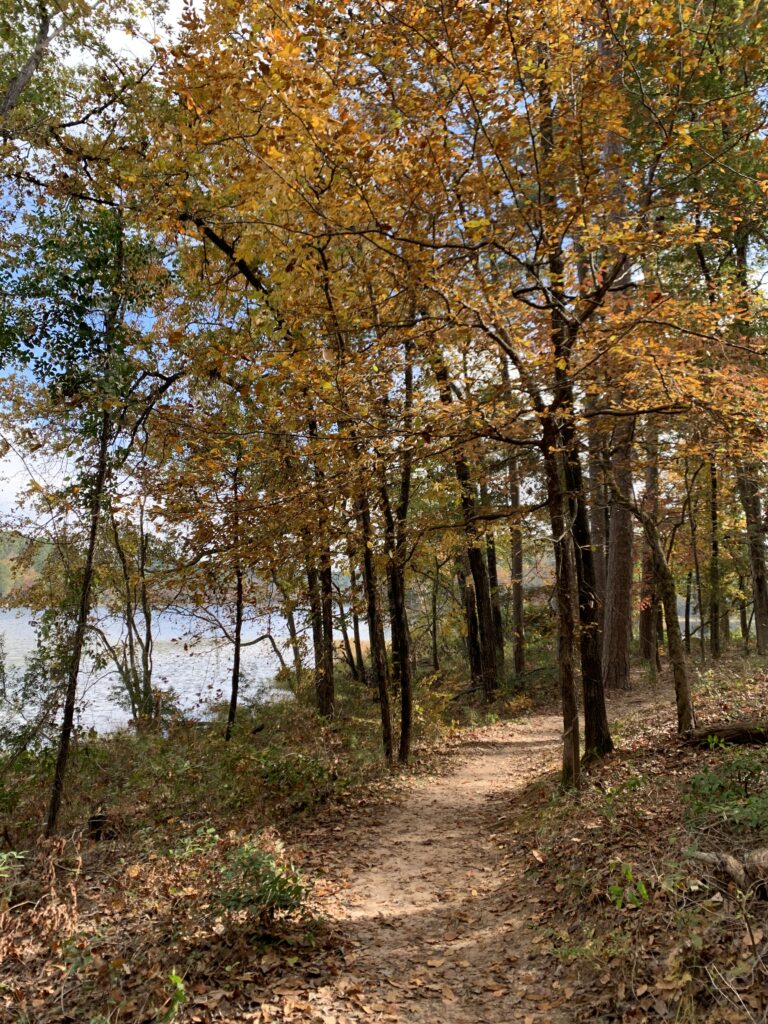 6 Incredible Reasons to Visit Daingerfield State Park