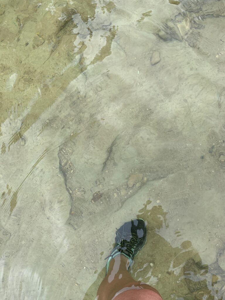Dinosaur tracks in Dinosaur Valley State Park