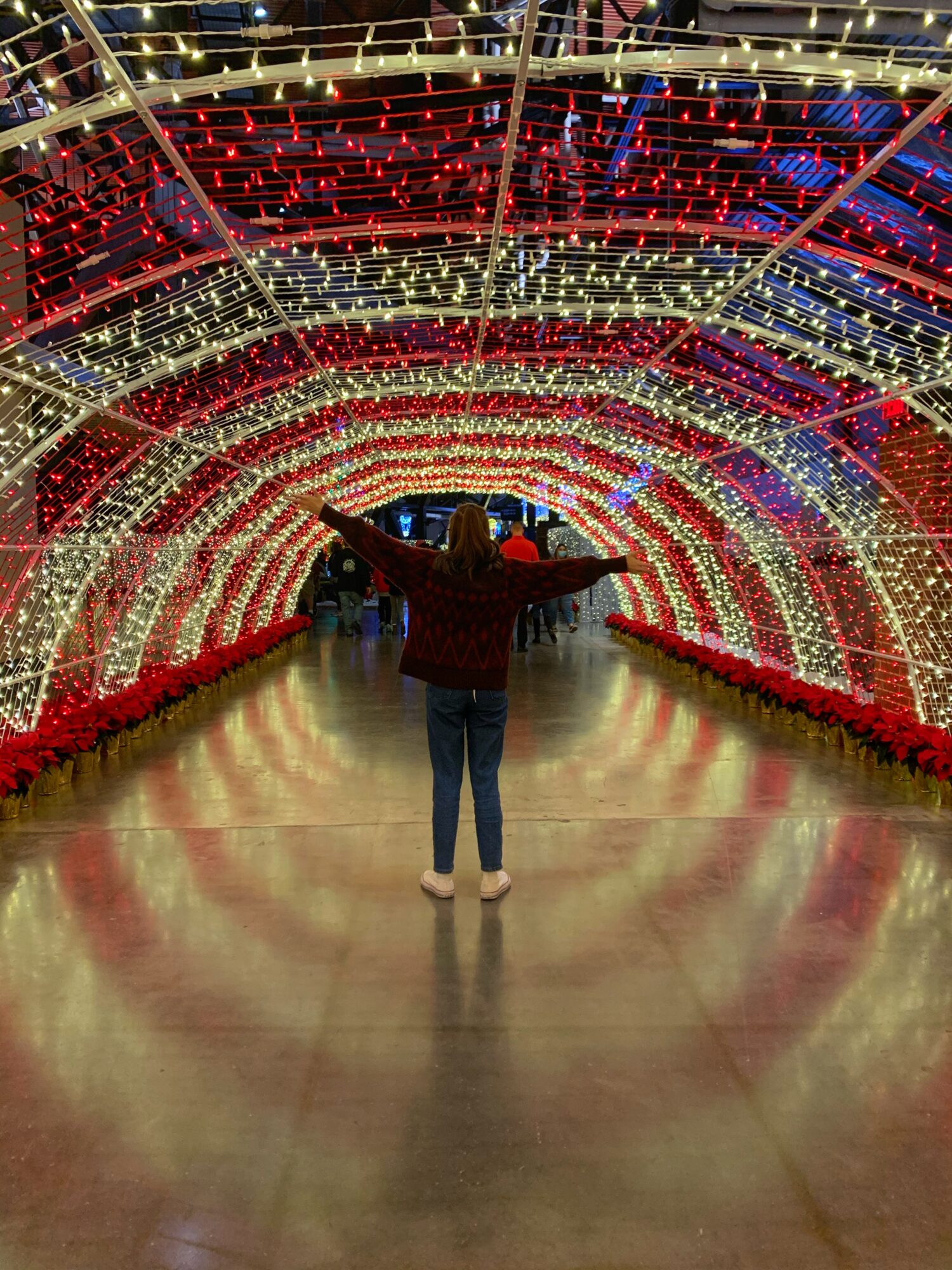 20+ Things To Do in Dallas during Christmas 2020 Always Up For An