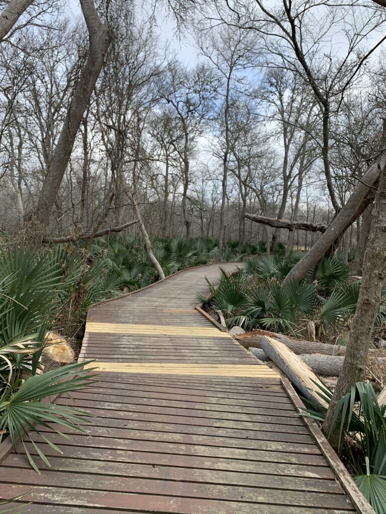 Hiking at Palmetto State Park