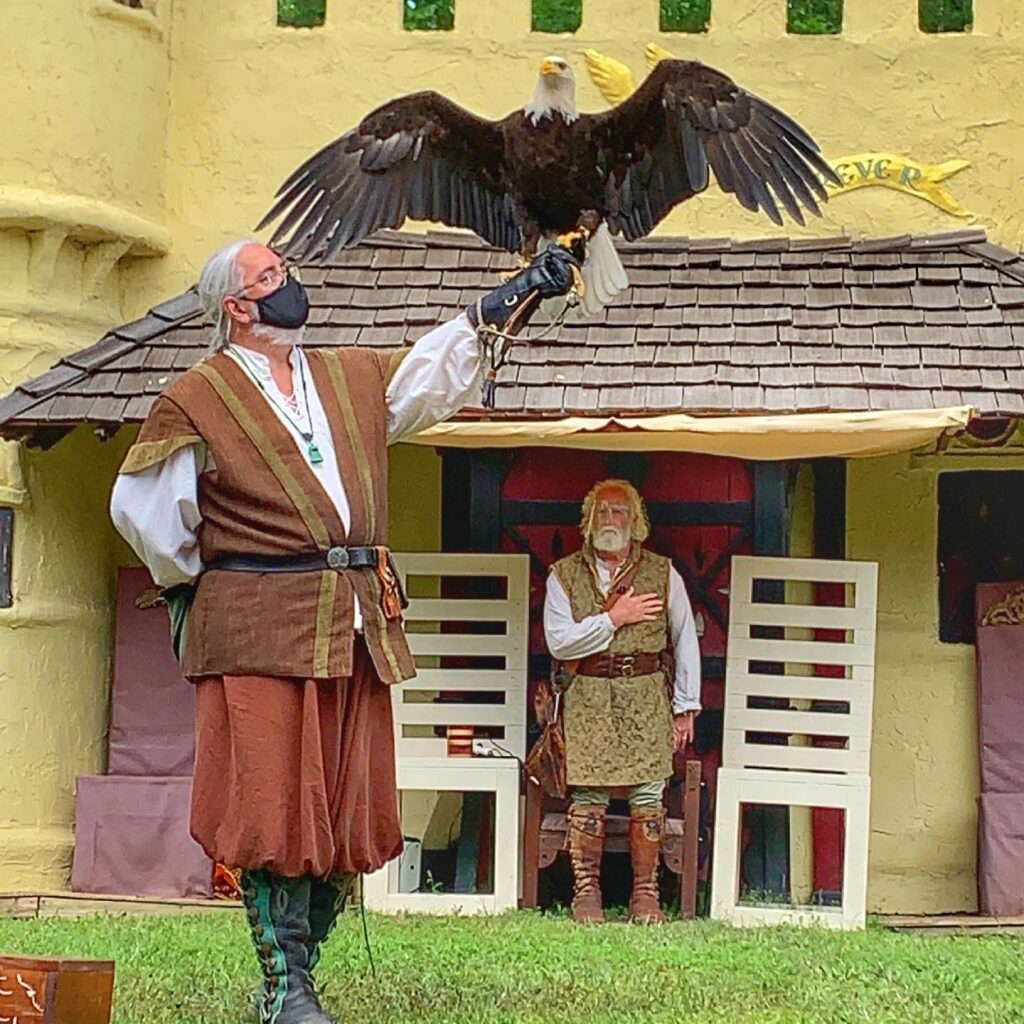 The Falconry is one of the 10 must do's at Scarborough Renaissance Festival