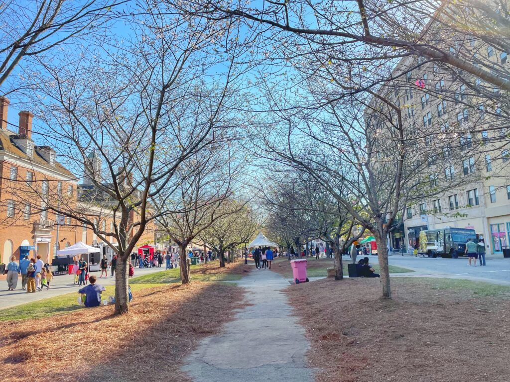 5 Tips for Visiting The Macon Cherry Blossom Festival Always Up For