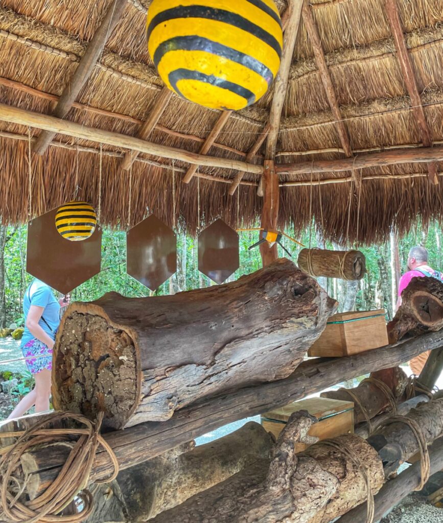 Best of Cozumel Excursion: Mayan Bee Sanctuary 